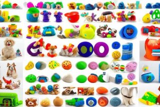 宠物玩具大全（宠物玩具大全100种）