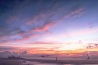 青岛某小区禁止全体业主饲养宠物，青岛某小区禁止全体业主饲养宠物狗