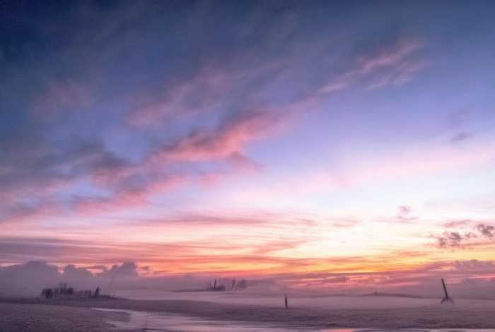 青岛某小区禁止全体业主饲养宠物，青岛某小区禁止全体业主饲养宠物狗