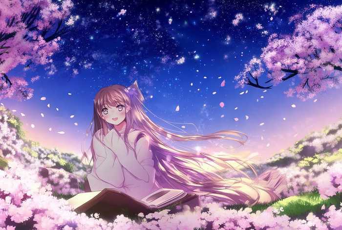 樱花庄的宠物女孩免费观看星辰影院（樱花庄的宠物女孩第一集在线观看）