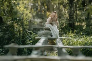 洛克王国宠物图鉴查询官网（洛克王国宠物图鉴查询官网入口）