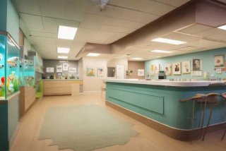 宠物诊所装修效果图，宠物诊所装修效果图大全