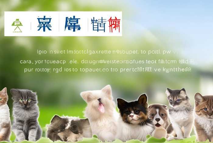 最正规的宠物交易网站环球宠物网；最正规的宠物交易网站知乎