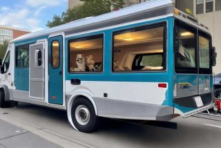 宠物运输车；宠物运输车哪里有卖的