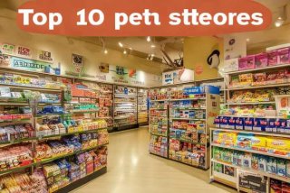 宠物店加盟十大品牌排行榜 - 宠物店加盟十大品牌排行榜图片