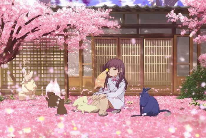 樱花庄的宠物女孩小说名,樱花庄的宠物女孩小说名字是什么 樱花庄的宠物女孩小说名,樱花庄的宠物女孩小说名字是什么