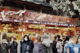 十大宠物用品公司排名；十大宠物用品公司排名榜