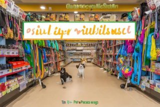 宠物用品批发网站有哪些、宠物用品批发网站有哪些好