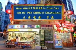 上海加盟一家宠物店需要多少钱 - 上海加盟一家宠物店需要多少钱呢