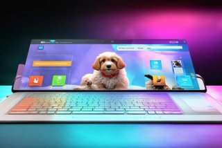 宠物网站设计，宠物网站设计酷炫型