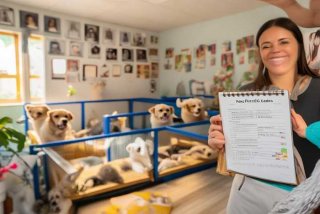 宠物托管中心 - 宠物托管中心收费标准