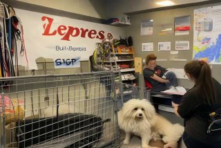 宠物快递托运；宠物快递托运需要办理什么手续