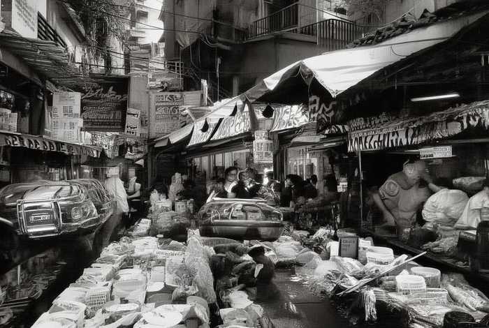 广州宠物市场推荐（广州宠物市场推荐狗狗）