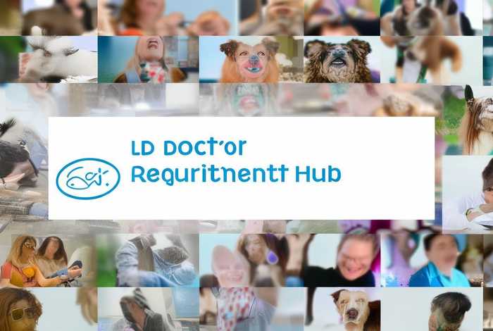 宠物医生招聘网站大全 宠物医生招聘网站大全最新 宠物医生招聘网站大全 宠物医生招聘网站大全最新