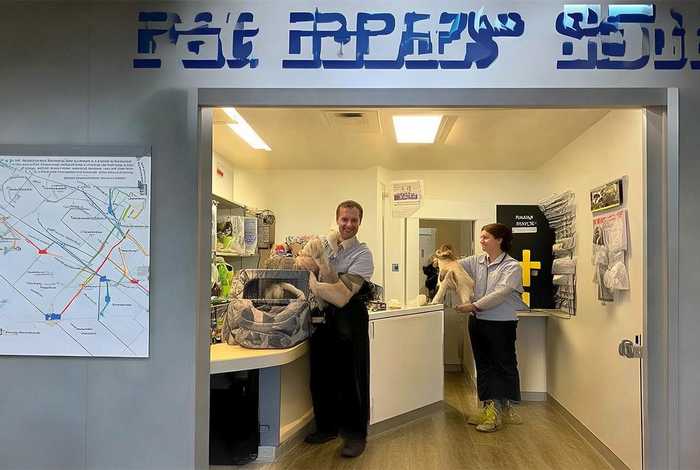 宠物托运顺丰宠必达多少钱 宠必达宠物托运电话