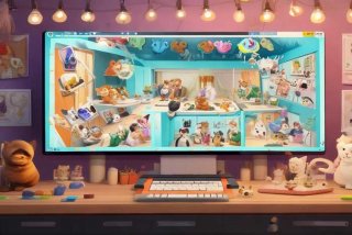 猫宠物直播间、猫宠物直播间怎么进