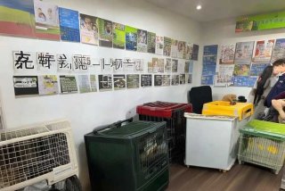 宠物托运公司电话；沈阳宠物托运公司电话