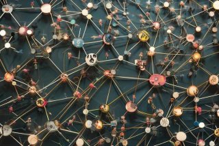 组织人际关系数目、组织人际关系数目包括