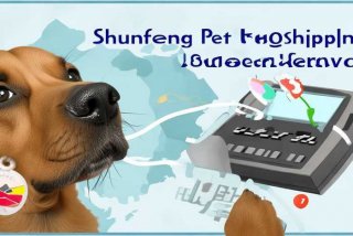 顺丰托运宠物电话；顺丰托运宠物电话号码