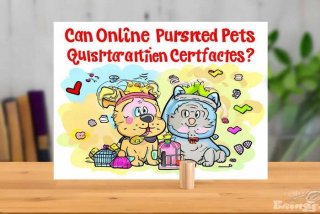 网购宠物能不能出检疫证；网购宠物能不能出检疫证明