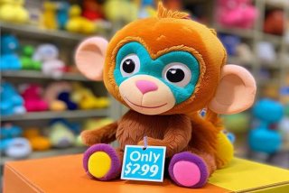 猴子宠物玩偶多少钱一只、猴子宠物玩偶多少钱一只啊