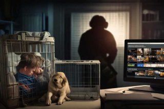 领养宠物套路空运骗局；领养宠物套路空运骗局视频