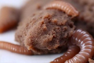 宠物鼠粪便；宠物鼠粪便有鞭毛虫无球虫图片