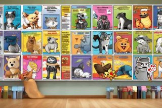 宠物知识科普100条 宠物知识科普100条图片