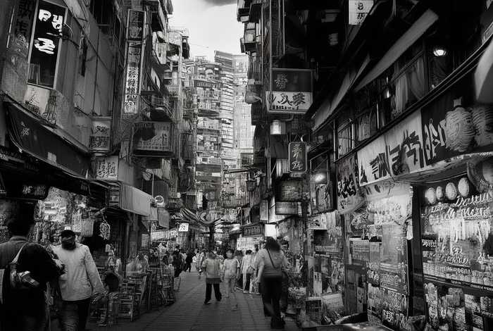 石家庄宠物市场肖家营，石家庄肖家营宠物市场营业时间