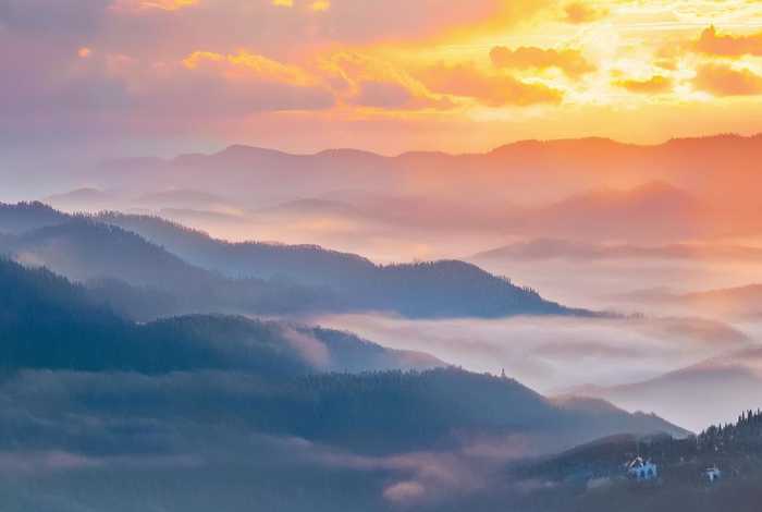 青岛某小区禁止全体业主饲养宠物，青岛某小区禁止全体业主饲养宠物狗