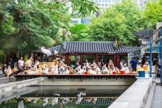 上海宠物市场四世纪公园，上海四季宠物公园