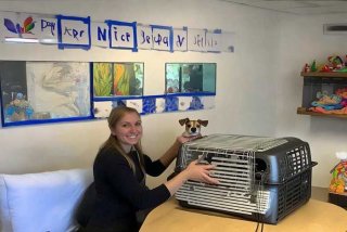 宠物航空托运代办（宠物航空托运代办价格）