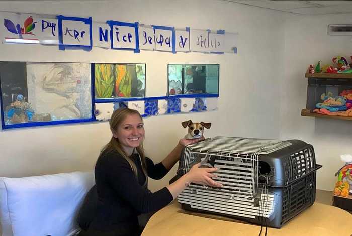 宠物航空托运代办（宠物航空托运代办价格）