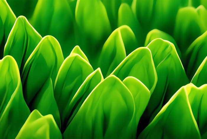 蜥蜴宠物鬃狮蜥需要喝水吗，蜥蜴宠物鬃狮蜥需要喝水吗视频