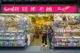 上海宠物店电话 - 上海宠物店电话地址