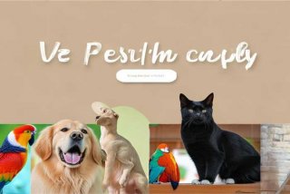 宠儿宠物官网（宠儿宠物官网首页）