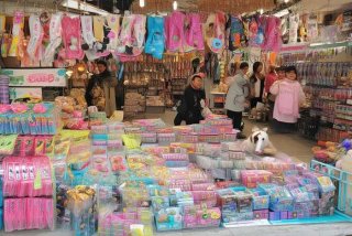 厦门宠物用品专场（厦门宠物用品专场有哪些）