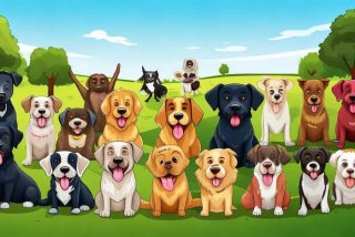 宠物狗的种类及图片及名称；宠物狗的种类及图片及名称介绍