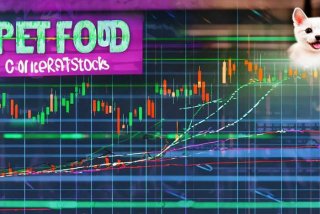 宠物食品概念股、宠物食品概念股票有哪些