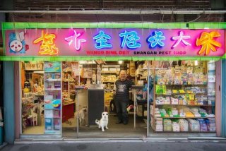 王柏林上海宠物店，王柏林上海宠物店怎么样