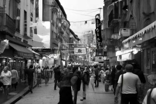 石家庄宠物市场猫咪、石家庄宠物市场猫咪价格