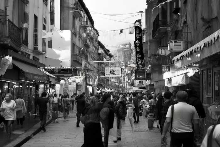 石家庄宠物市场猫咪、石家庄宠物市场猫咪价格