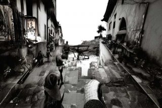 哈尔滨宠物医院24小时营业；哈尔滨宠物医院24小时营业吗