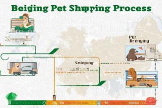 北京宠物托运流程，北京宠物托运流程图