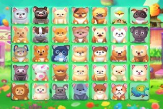 宠物连连看3.0精装版 - 宠物连连看3.0精装版下载