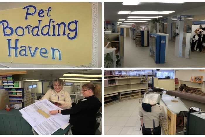 宠物寄养店怎么开(宠物寄养店怎么开发票) 宠物寄养店怎么开(宠物寄养店怎么开发票)