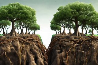 人际关系的本质是斗争 - 人际关系的本质是一种什么联系