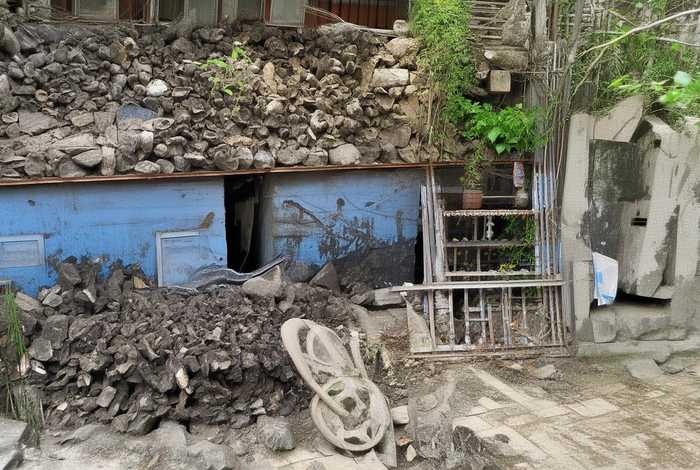 宠物店的男人们小说全文阅读，宠物店的男人们全文完整阅读