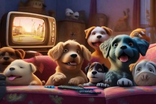 宠物老友记在线播放（宠物老友记在线播放完整版）