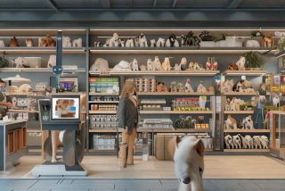 宠物店管理系统开题报告 - 宠物店管理系统的开题报告